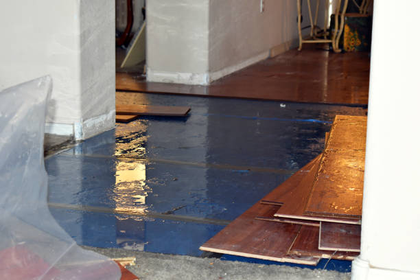 Professional Burst Pipe Cleanup technician working in Buckholts, TX