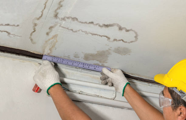 Reliable Burst Pipe Cleanup contractor in Buckholts, TX by Water Damage Irwin